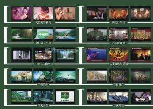 东莞广告传媒、音像制作与外景工厂拍摄 — 供应声视广告助力企业品牌传播